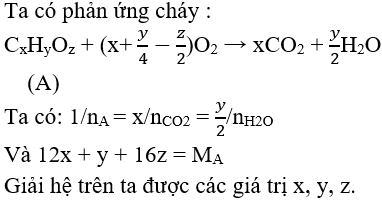 Hóa học lớp 11 | Lý thuyết và Bài tập Hóa học 11 có đáp án