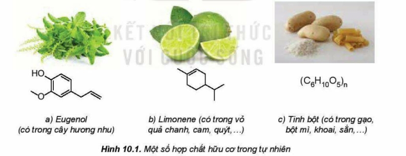 Lý thuyết Khái niệm về cân bằng hóa học (Kết nối tri thức 2023) hay, chi tiết | Hóa học 11 (ảnh 1)