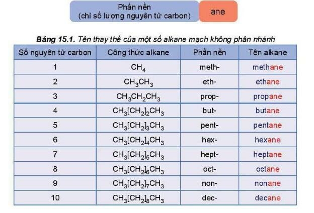  (ảnh 1)