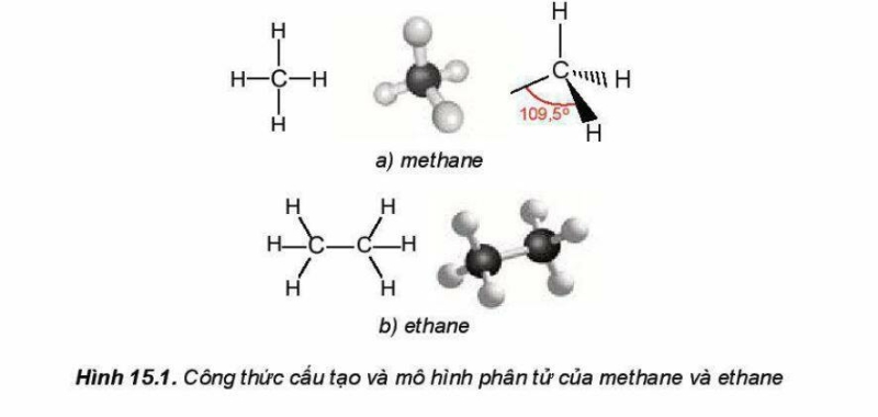  (ảnh 6)