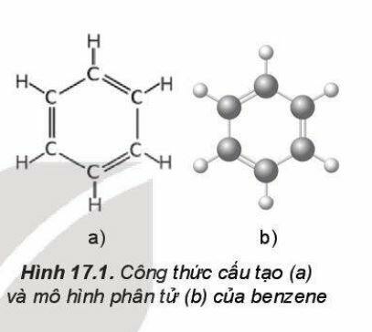  (ảnh 2)