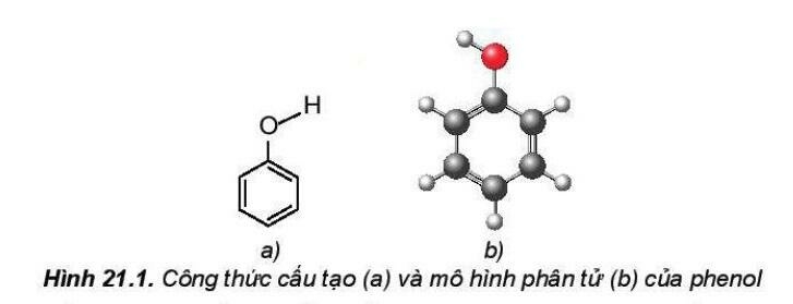  (ảnh 2)