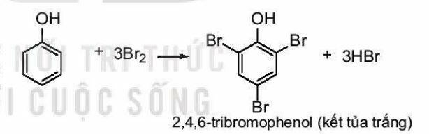  (ảnh 3)