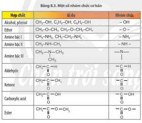  (ảnh 4)