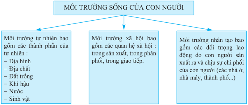 Lý thuyết Địa Lí 10 Bài 41: Môi trường và tài nguyên thiên nhiên - Lý thuyết Địa Lí 10 đầy đủ nhất