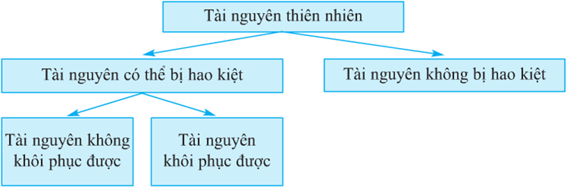 Lý thuyết Địa Lí 10 Bài 41: Môi trường và tài nguyên thiên nhiên - Lý thuyết Địa Lí 10 đầy đủ nhất