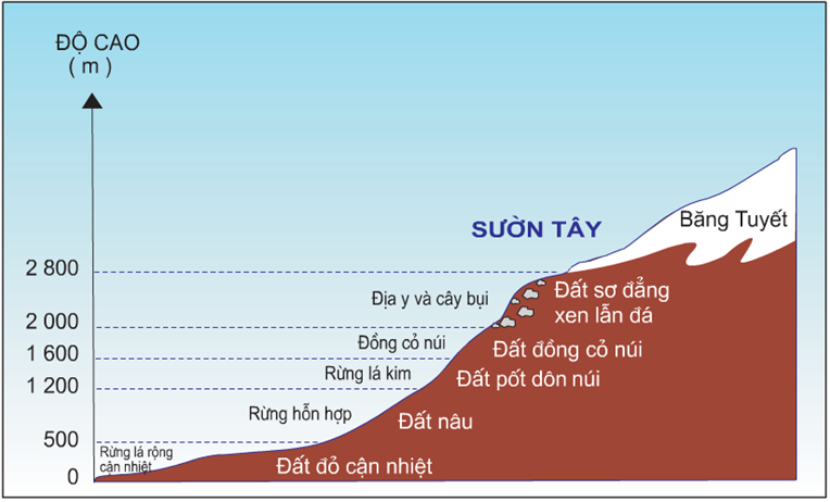 Lý thuyết Địa Lí 10 Bài 21: Quy luật địa đới và quy luật phi địa đới - Lý thuyết Địa Lí 10 đầy đủ nhất