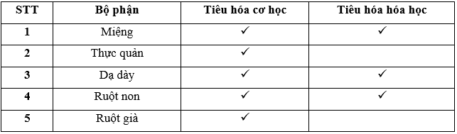 Lý thuyết Sinh học 11 Bài 15: Tiêu hóa ở động vật | Lý thuyết Sinh học 11 đầy đủ, chi tiết nhất