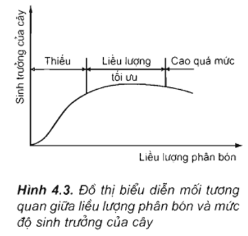 Lý thuyết Sinh học 11 Bài 4: Vai trò của các nguyên tố khoáng | Lý thuyết Sinh học 11 đầy đủ, chi tiết nhất