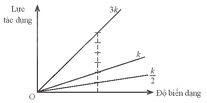 Sách bài tập Vật lí 10 Bài 23: Định luật Hooke - Chân trời sáng tạo (ảnh 1)