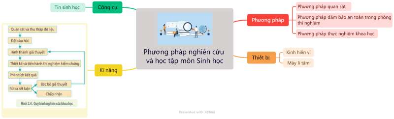 Lý thuyết Sinh học 10 Bài 2 (Kết nối tri thức): Phương pháp nghiên cứu và học tập môn Sinh học (ảnh 6)