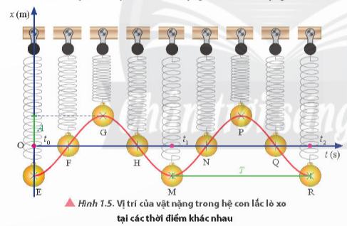 Lý thuyết Mô tả dao động (Chân trời sáng tạo 2023) hay, chi tiết | Vật Lí 11 (ảnh 2)