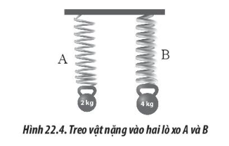 Sách bài tập Vật lí 10 Bài 22: Biến dạng của vật rắn. Đặc tính của lò xo - Chân trời sáng tạo (ảnh 1)