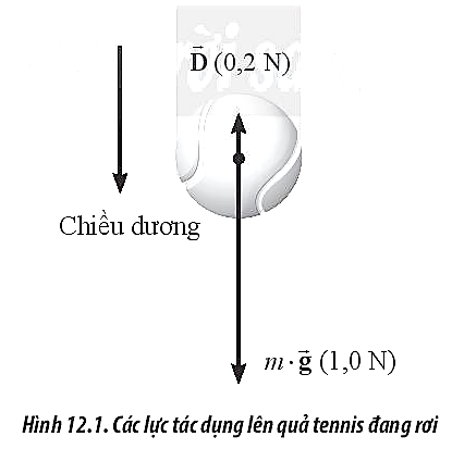 Sách bài tập Vật lí 10 Bài 12: Chuyển động của vật trong chất lưu - Chân trời sáng tạo (ảnh 1)