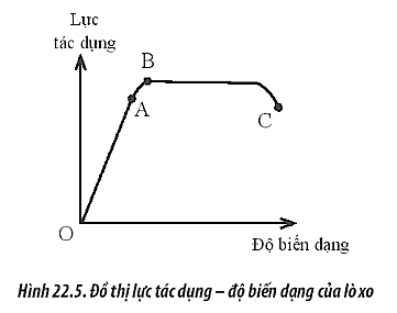 Sách bài tập Vật lí 10 Bài 22: Biến dạng của vật rắn. Đặc tính của lò xo - Chân trời sáng tạo (ảnh 1)