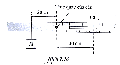 Sách bài tập Vật lí 10 Chủ đề 2: Lực và chuyển động - Cánh diều (ảnh 1)