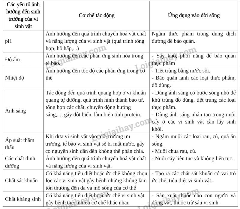 Sinh học 10 Ôn tập chương 5 | Giải Sinh 10 Chân trời sáng tạo (ảnh 3)