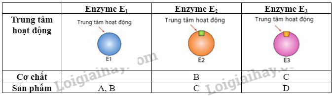 Sinh học 10 Ôn tập phần 2 trang 100,101 | Giải Sinh 10 Cánh diều (ảnh 2)