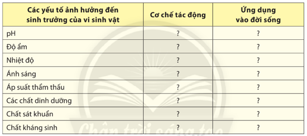 Sinh học 10 Ôn tập chương 5 | Giải Sinh 10 Chân trời sáng tạo (ảnh 2)