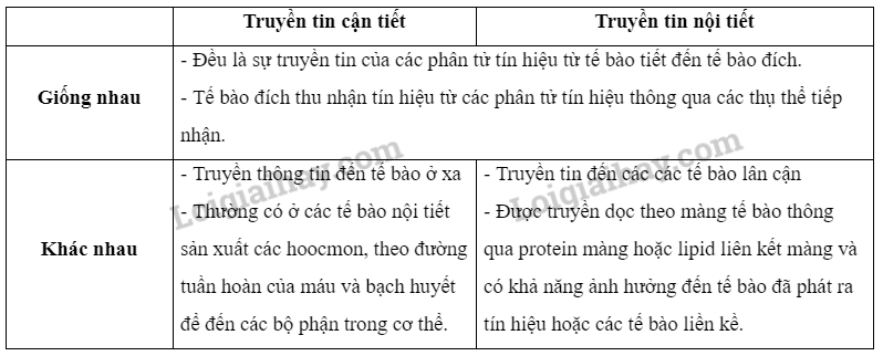 Sinh học 10 Bài 12: Thông tin giữa các tế bào | Giải Sinh 10 Cánh diều (ảnh 3)