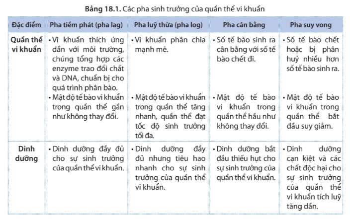 Sinh học 10 Bài 18: Sinh trưởng và sinh sản ở vi sinh vật | Giải Sinh 10 Cánh diều (ảnh 4)