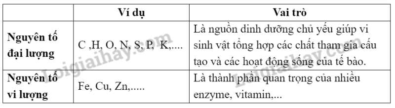 Sinh học 10 Bài 18: Sinh trưởng và sinh sản ở vi sinh vật | Giải Sinh 10 Cánh diều (ảnh 9)