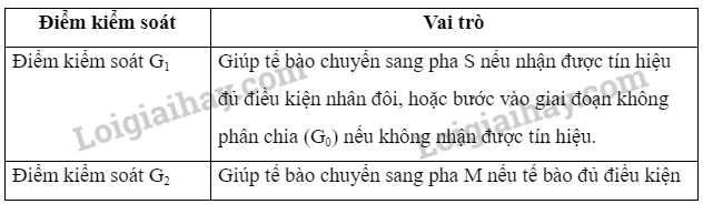 Sinh học 10 Bài 12: Chu kì tế bào và nguyên phân | Giải Sinh 10 Cánh diều (ảnh 4)