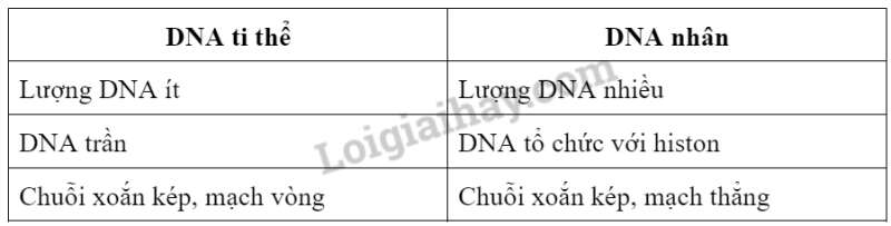 Sinh học 10 Bài 8: Cấu trúc của tế bào nhân thực | Giải Sinh 10 Cánh diều (ảnh 7)