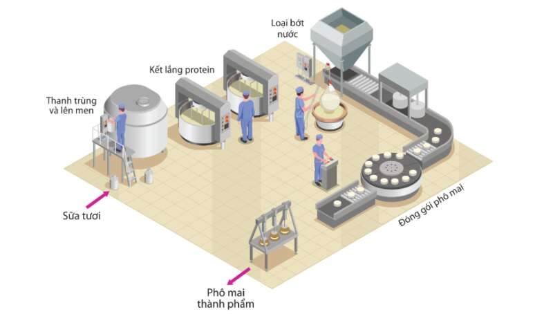 Sinh học 10 Bài 20: Thành tựu của công nghệ vi sinh vật và ứng dụng của vi sinh vật | Giải Sinh 10 Cánh diều (ảnh 1)