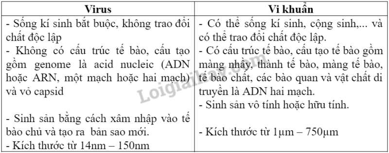 Sinh học 10 Bài 21: Khái niệm, cấu tạo và chu trình nhân lên củ virus | Giải Sinh 10 Cánh diều (ảnh 2)