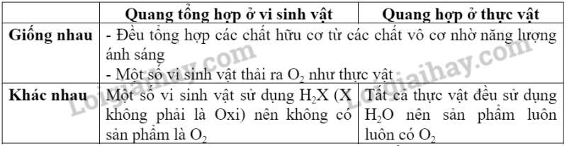 Sinh học 10 Bài 19: Quá trình tổng hợp, phân giải ở vi sinh vật và ứng dụng | Giải Sinh 10 Cánh diều (ảnh 2)