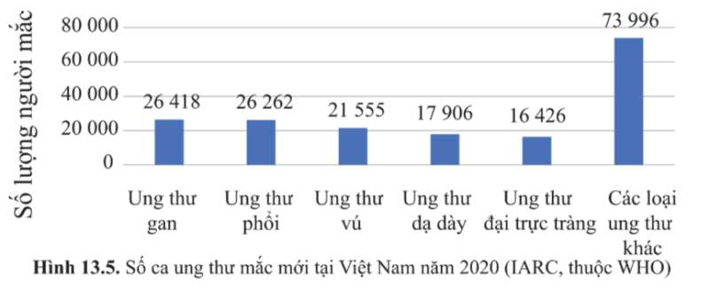 Sinh học 10 Bài 12: Chu kì tế bào và nguyên phân | Giải Sinh 10 Cánh diều (ảnh 8)