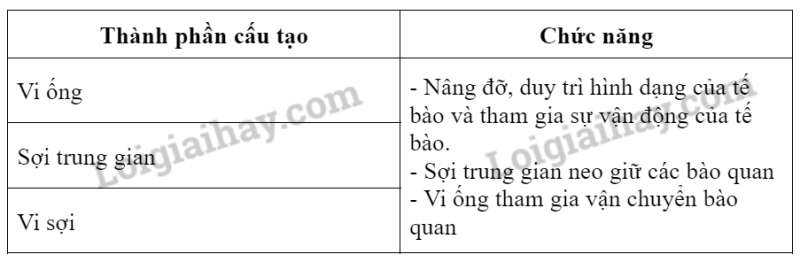 Sinh học 10 Bài 8: Cấu trúc của tế bào nhân thực | Giải Sinh 10 Cánh diều (ảnh 14)