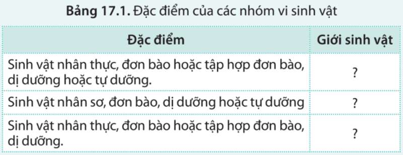 Sinh học 10 Bài 17: Vi sinh vật và các phương pháp nghiên cứu vi sinh vật | Giải Sinh 10 Cánh diều (ảnh 4)