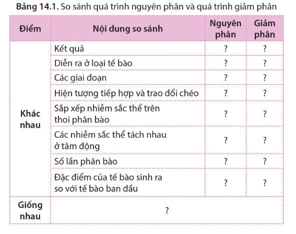 Sinh học 10 Bài 14: Giảm phân | Giải Sinh 10 Cánh diều (ảnh 5)