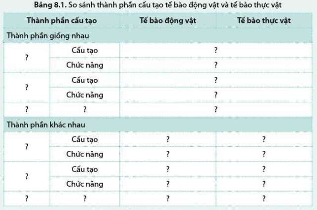 Sinh học 10 Bài 8: Cấu trúc của tế bào nhân thực | Giải Sinh 10 Cánh diều (ảnh 15)