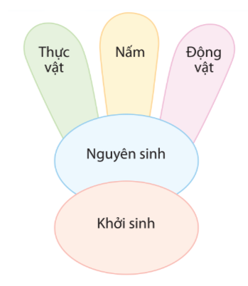 Sinh học 10 Bài 17: Vi sinh vật và các phương pháp nghiên cứu vi sinh vật | Giải Sinh 10 Cánh diều (ảnh 1)