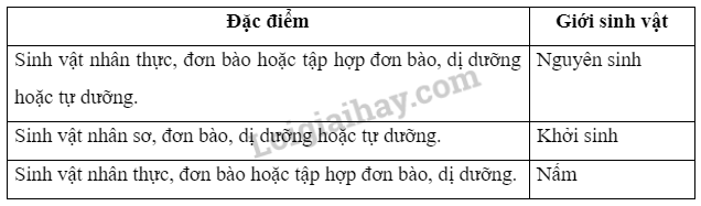 Sinh học 10 Bài 17: Vi sinh vật và các phương pháp nghiên cứu vi sinh vật | Giải Sinh 10 Cánh diều (ảnh 5)