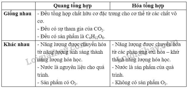 Sinh học 10 Bài 11: Tổng hợp và phân giải các chất trong tế bào | Giải Sinh 10 Cánh diều (ảnh 4)