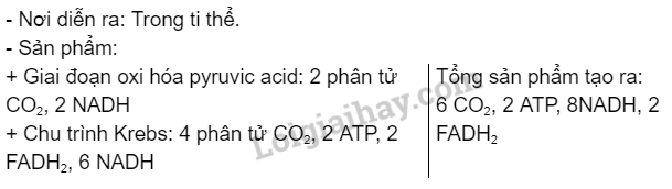 Sinh học 10 Bài 11: Tổng hợp và phân giải các chất trong tế bào | Giải Sinh 10 Cánh diều (ảnh 7)