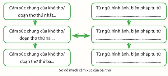 Soạn bài Cách đọc một tập thơ, một tập truyện ngắn hoặc một tiểu thuyết | Chuyên đề học tập Ngữ văn 10 Chân trời sáng tạo