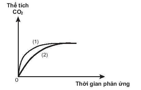 Sách bài tập Hóa học 10 Bài 19 (Kết nối tri thức): Tốc độ phản ứng  (ảnh 1)