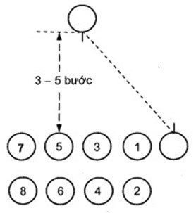 Lý thuyết GDQP 10 Bài 3: Đội ngũ tiểu đội - Cánh diều (ảnh 1)