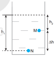 Lý thuyết Vật Lí 10 Bài 34: Khối lượng riêng. Áp suất chất lỏng - Kết nối tri thức (ảnh 1)