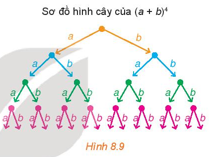 Giải Toán 10 Bài 25 (Kết nối tri thức): Nhị thức Newton (ảnh 1)