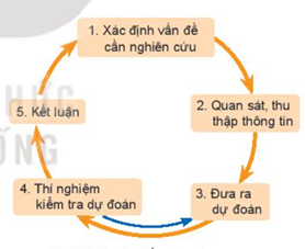 Lý thuyết Vật Lí 10 Bài 1: Làm quen với Vật lí - Kết nối tri thức (ảnh 1)