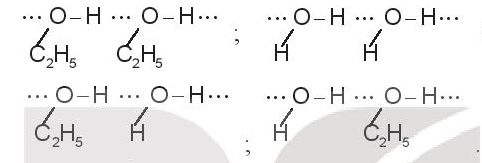 Sách bài tập Hóa học 10 Bài 13 (Kết nối tri thức): Liên kết hydrogen và tương tác van der Waals  (ảnh 1)