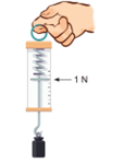 Lý thuyết Vật Lí 10 Bài 17: Trọng lực và lực căng - Kết nối tri thức (ảnh 1)