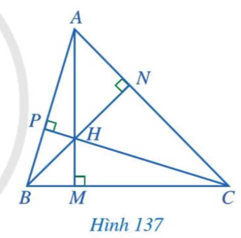 Giải Toán 7 Bài 13 (Cánh diều): Tính chất ba đường cao của tam giác (ảnh 1)