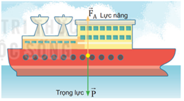 Lý thuyết Vật Lí 10 Bài 19: Lực cản và lực nâng - Kết nối tri thức (ảnh 1)